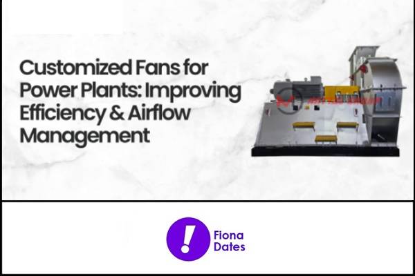 Customized Centrifugal Fans for Power Plants