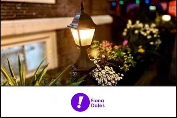 Why Low-Voltage Systems are the Most Popular Choice for Homeowners